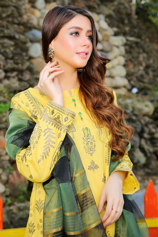 Embroidered Cotton Lawn Suit