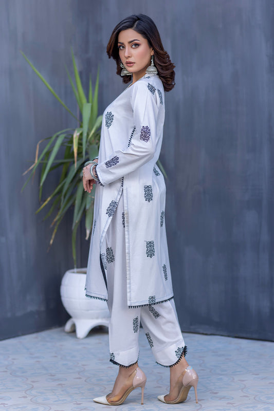 2 Pc cotton Co-Ords-2566