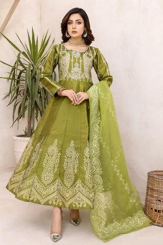 Embroidered Raw Silk Frock-2570