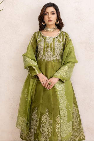 Embroidered Raw Silk Frock-2570