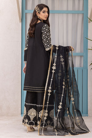 Embroidered Raw Silk Suit-2565