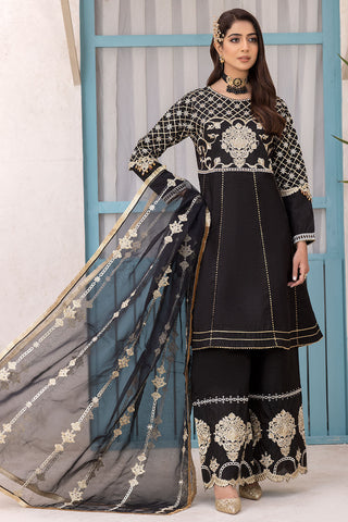 Embroidered Raw Silk Suit-2565