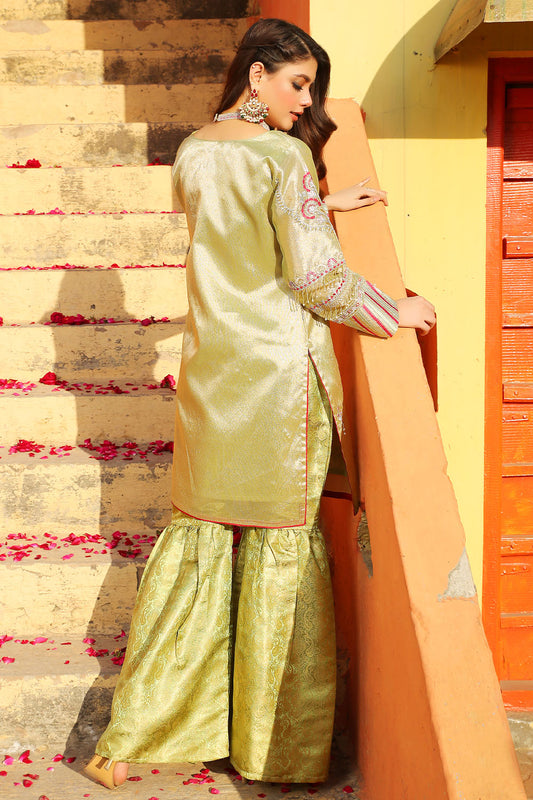 Embroidered Maysuri Suit-2458