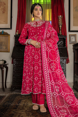 Embroidered A-line Frock Suit-2504
