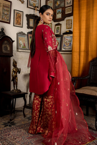 Embroidered Cotton Sharara Suit-2508